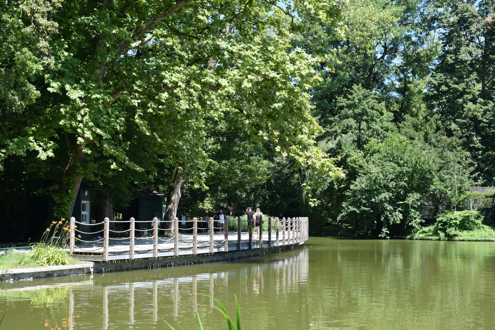 a bridge over a body of water surrounded by trees